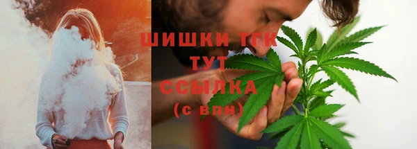 дмт Арсеньев