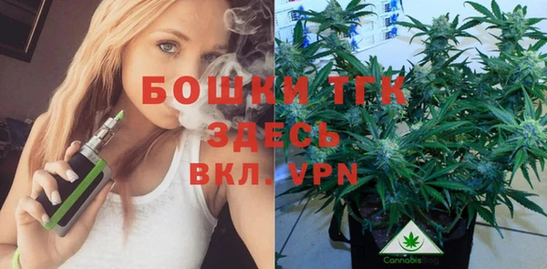 мяу мяу мука Аркадак