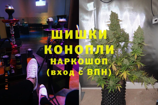 мяу мяу мука Аркадак