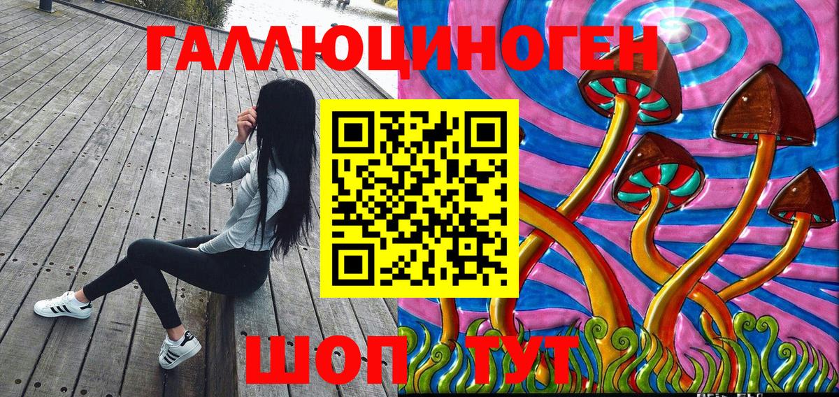 наркотики  Псилоцибиновые грибы Magic Shrooms  Вход с VPN  Заречный 